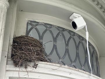 Birdcam setup